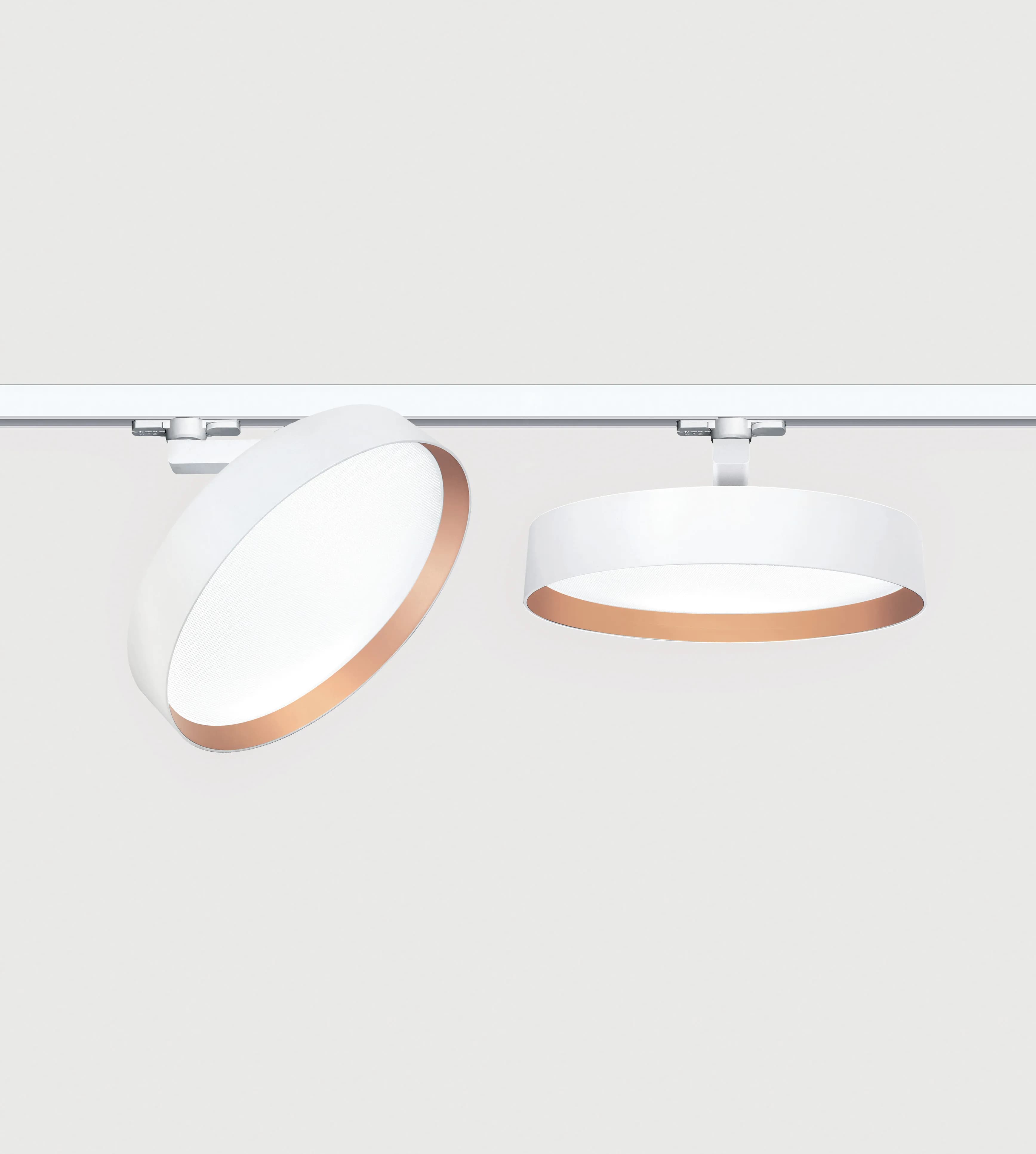 Lightnet Basic – siinivalgusti